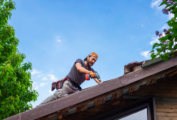 Best Chimney Flashing Repair  in Avonmore, PA